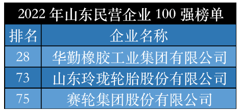2022山東輪胎領軍企業(yè)，震撼發(fā)布！