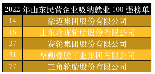 山東民營企業(yè)吸納就業(yè)100強榜單中，豪邁集團、玲瓏輪胎、賽輪集團、華勤橡膠、三角輪胎位列其中。作為勞動力較為密集的制造業(yè)，以上5家輪胎及相關企業(yè)吸納就業(yè)數(shù)千人。